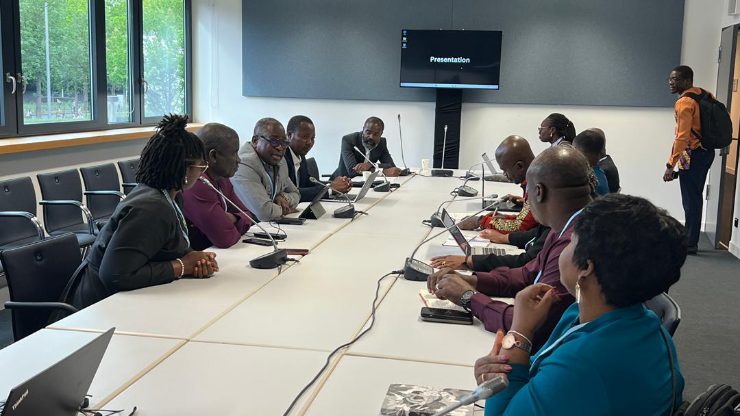 Adaptation Gallery Image 13