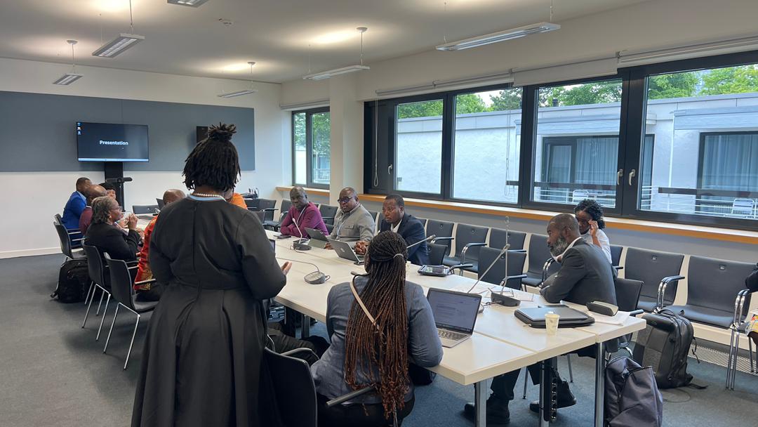 Adaptation Gallery Image 16