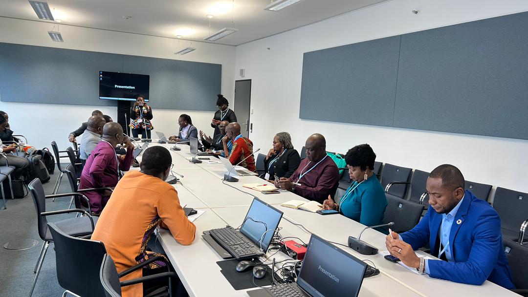 Adaptation Gallery Image 19