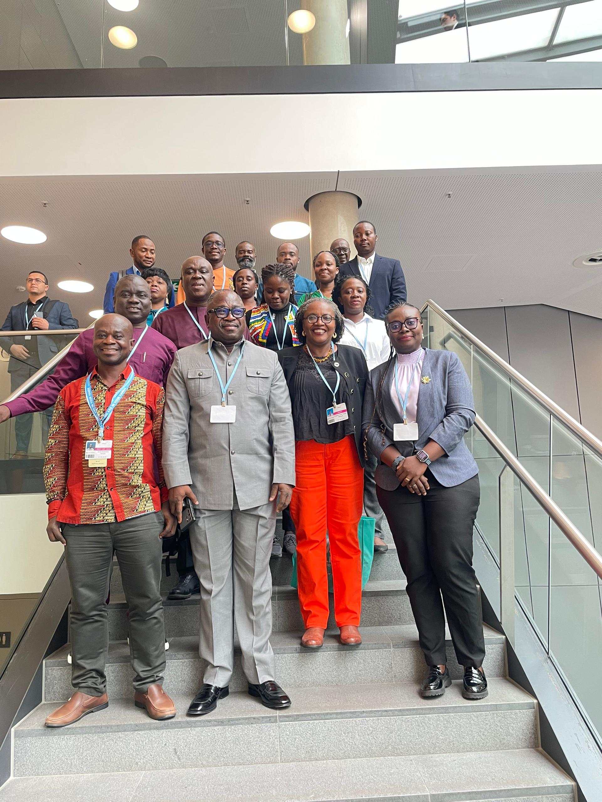 Adaptation Gallery Image 2