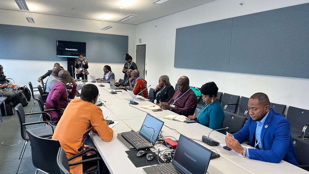 Adaptation Gallery Image 23