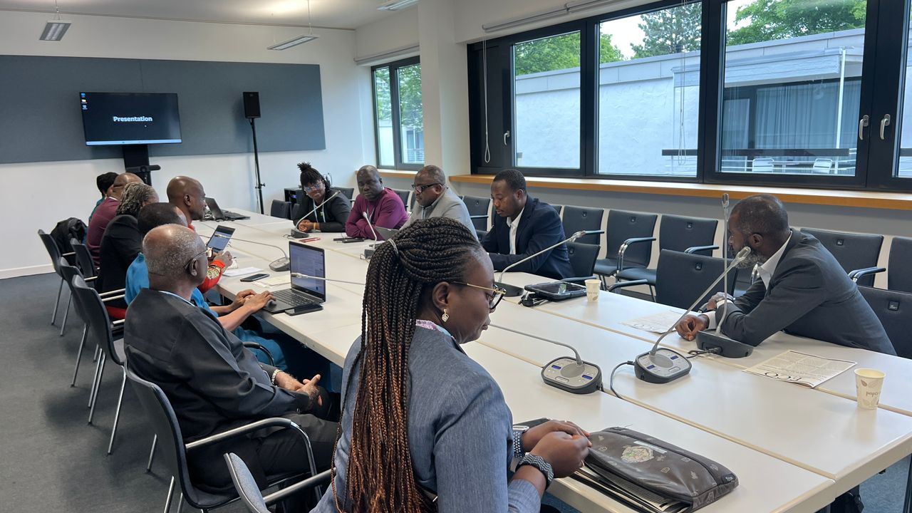 Adaptation Gallery Image 24